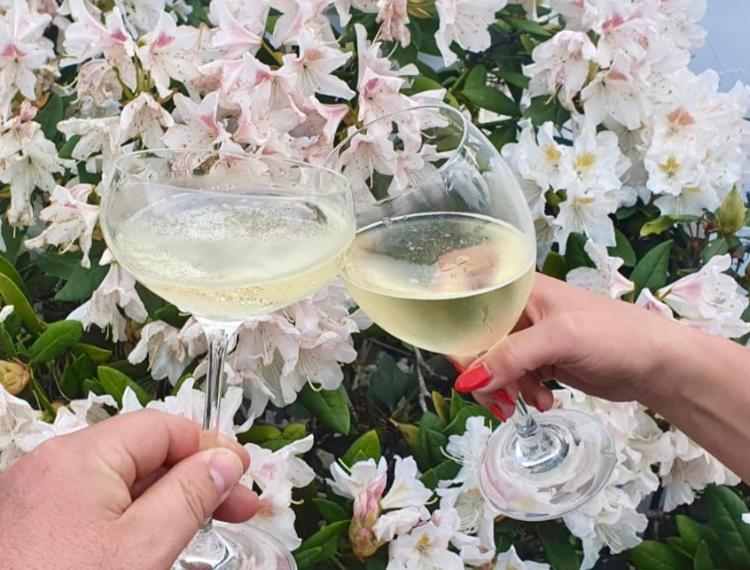 Ferienhaus Riesling Hassloch  Ngoại thất bức ảnh